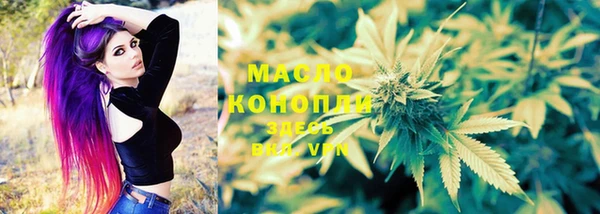 крисы Куйбышев