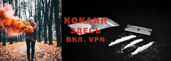 крисы Куйбышев