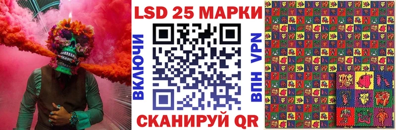 блэк спрут tor  Новоржев  Наркотические марки 1,5мг 