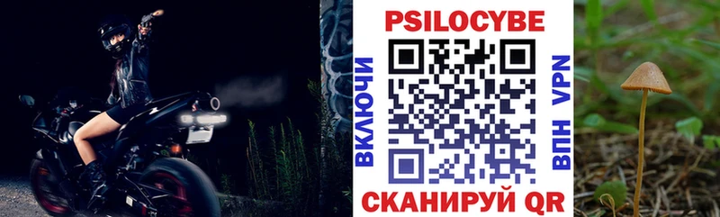 Псилоцибиновые грибы ЛСД  где найти наркотики  блэк спрут ТОР  площадка наркотические препараты  Новоржев 